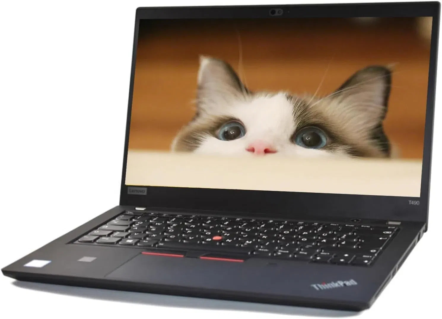 Lenovo ThinkPad T495 14" Business Laptop – AMD Ryzen 5 Pro 3500, 16GB DDR4 RAM, 256GB NVMe SSD, Graphics, Fingerprint, ENG/ARA Keyboard, Windows 10 Pro, Black Used