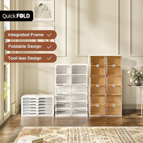 Antbox Shoe Organizer Storage Box, Portable Folding Shoe Rack for Closet with Magnetic Clear Door,Large Sneaker Cabinet Bins All-in-one Sturdy Easy Assembly 6 Layers-12 Grids, Brown (S2-S12-D6)