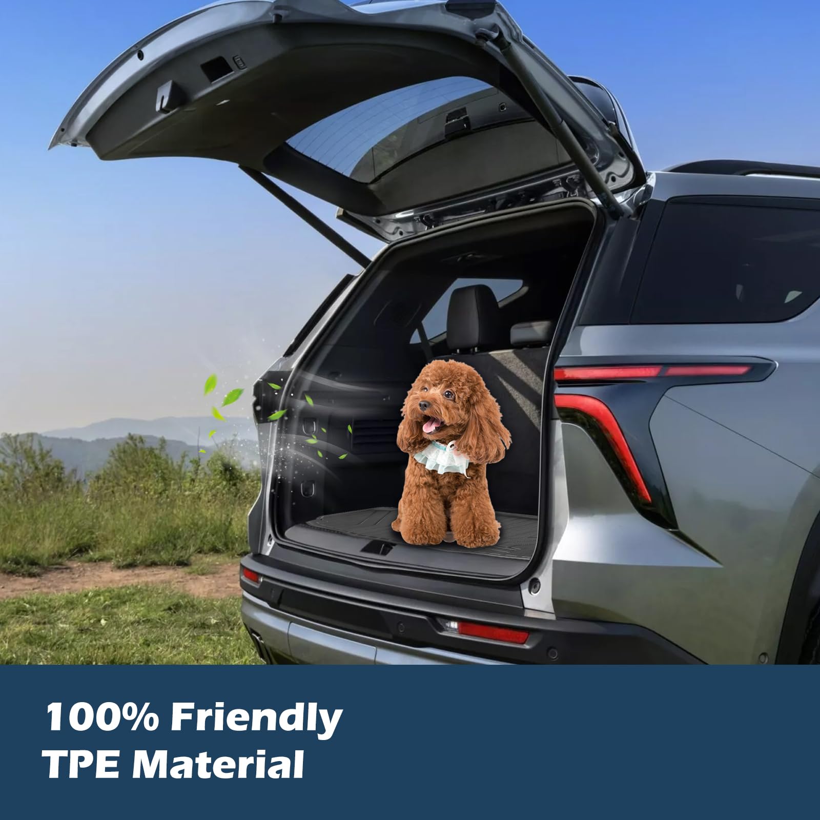 DAZANZAN Floor Mats for Chevrolet/Chevy Traverse 7 Seater 2024-2018 4Pcs