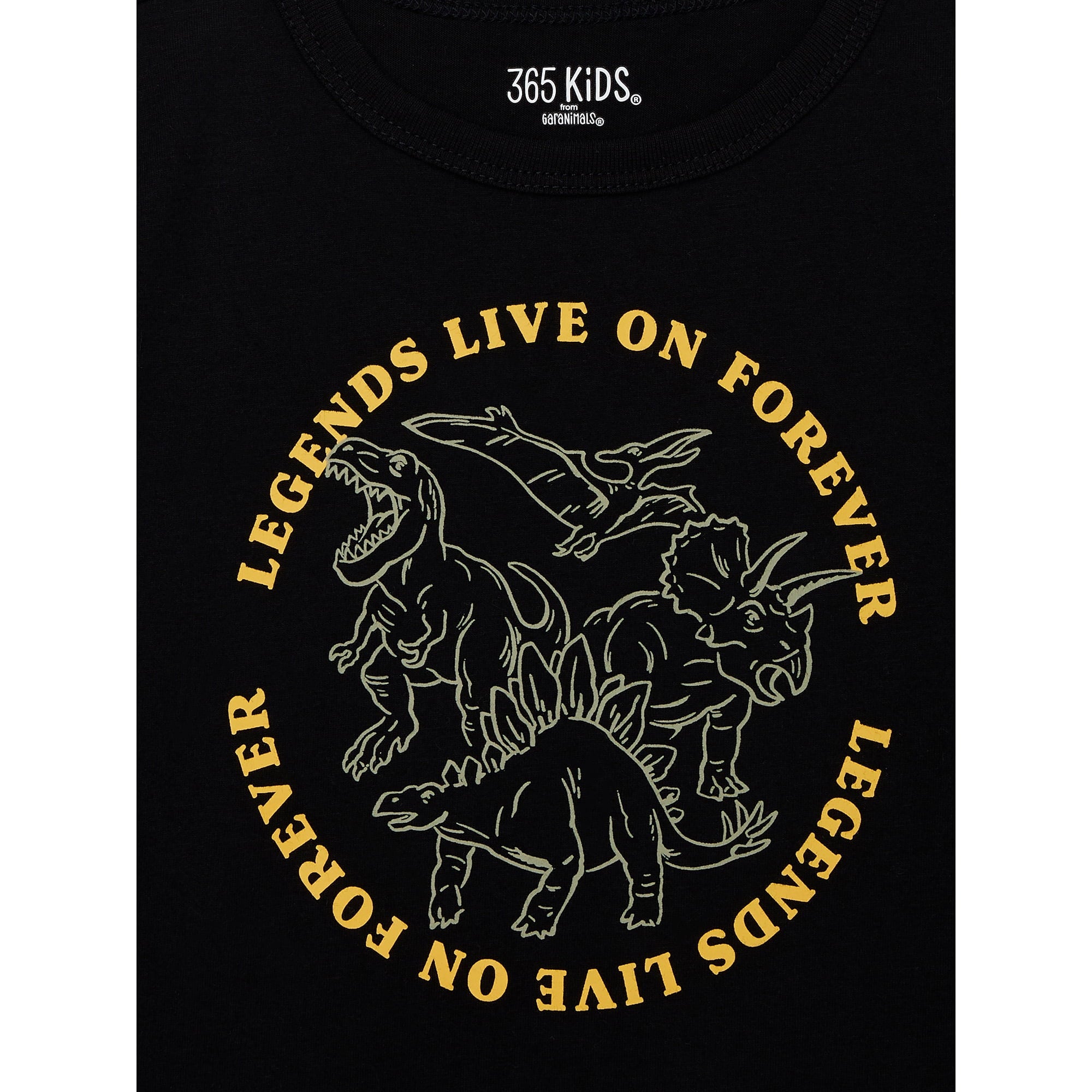 المقاس: 6 - 365 تيشيرتات أطفال من Garanimals للأولاد بأكمام قصيرة، عبوة من قطعتين (أسود وأخضر)