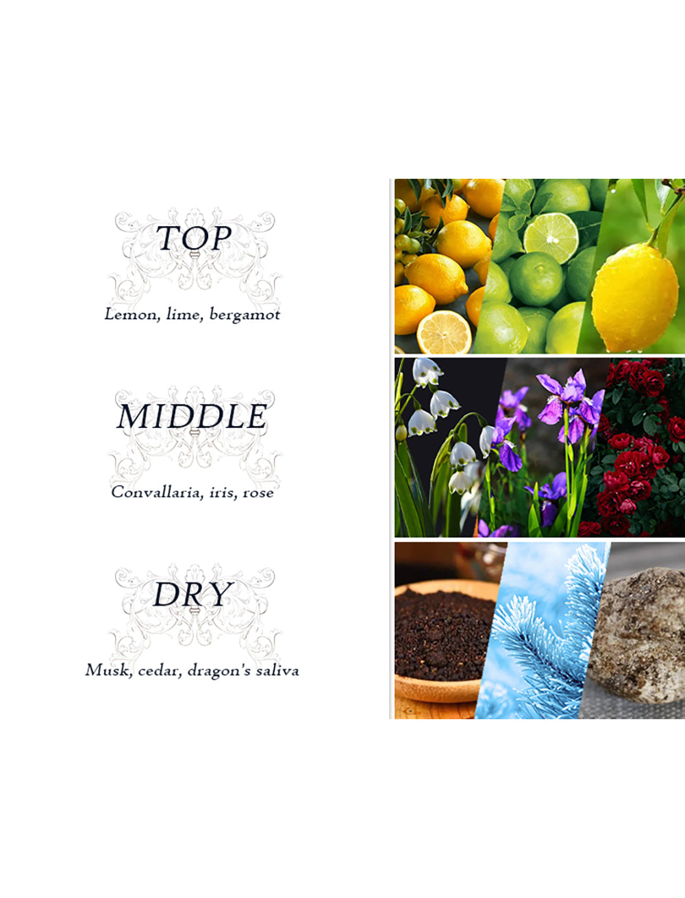 مجموعة بودي لوكشريز كول بريز لكريم الجسم 200 مل + عطر 250 مل + جل استحمام 350 مل