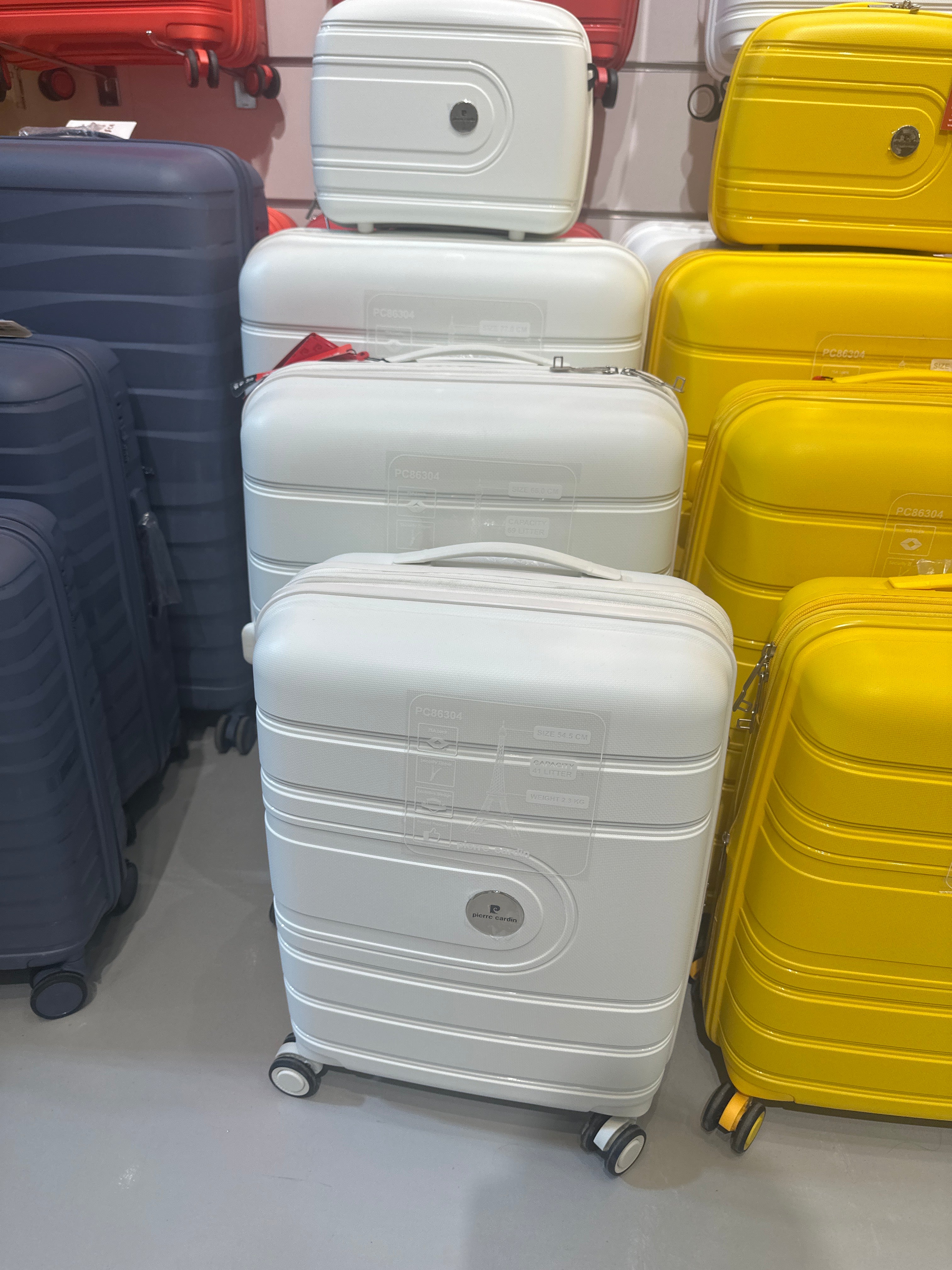 Pierre Cardin Champagne Travel Bag set of 4 (14"20"24"28)