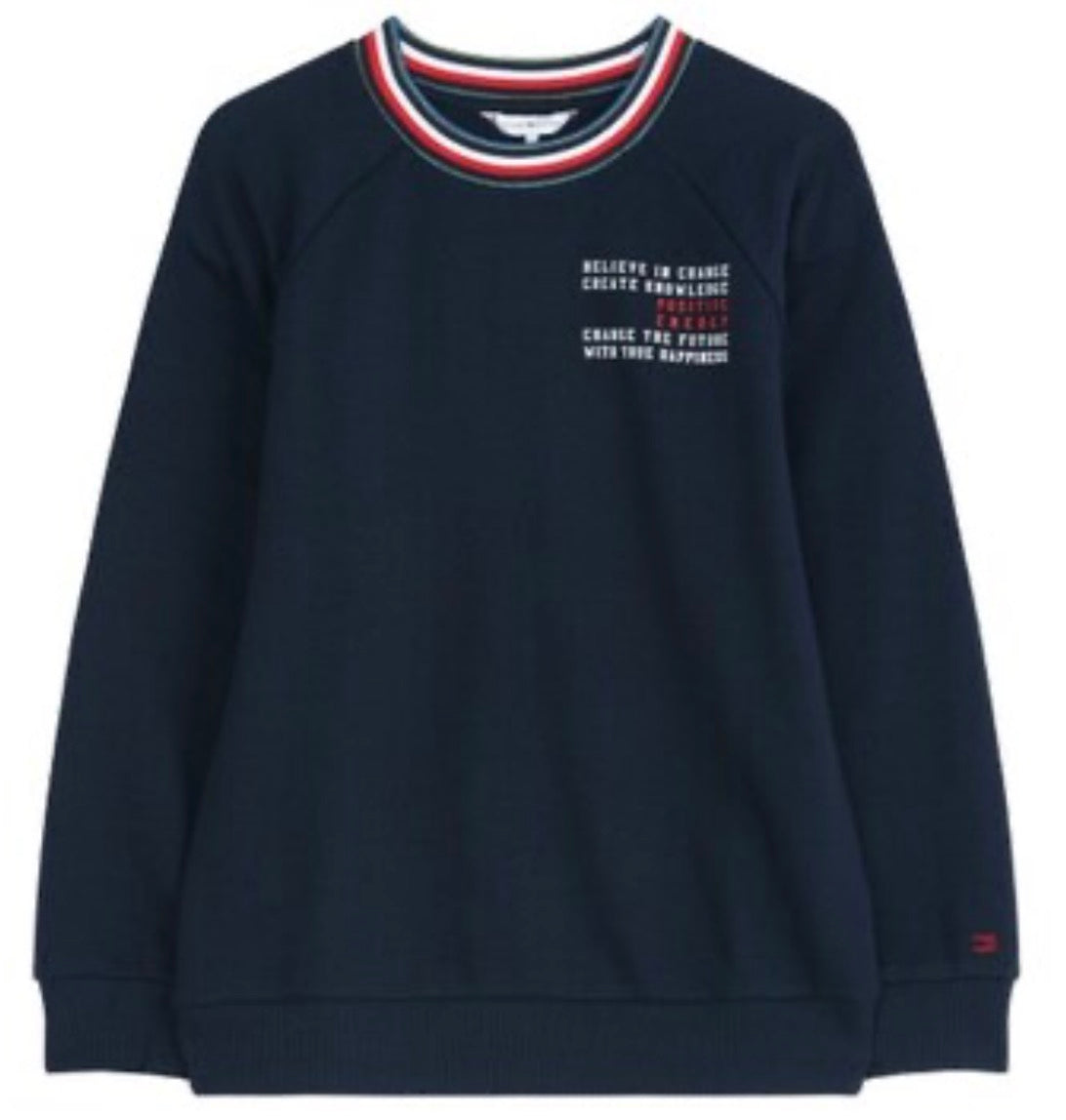 Tommy Hilfiger menswear sweatshirt a9awh112