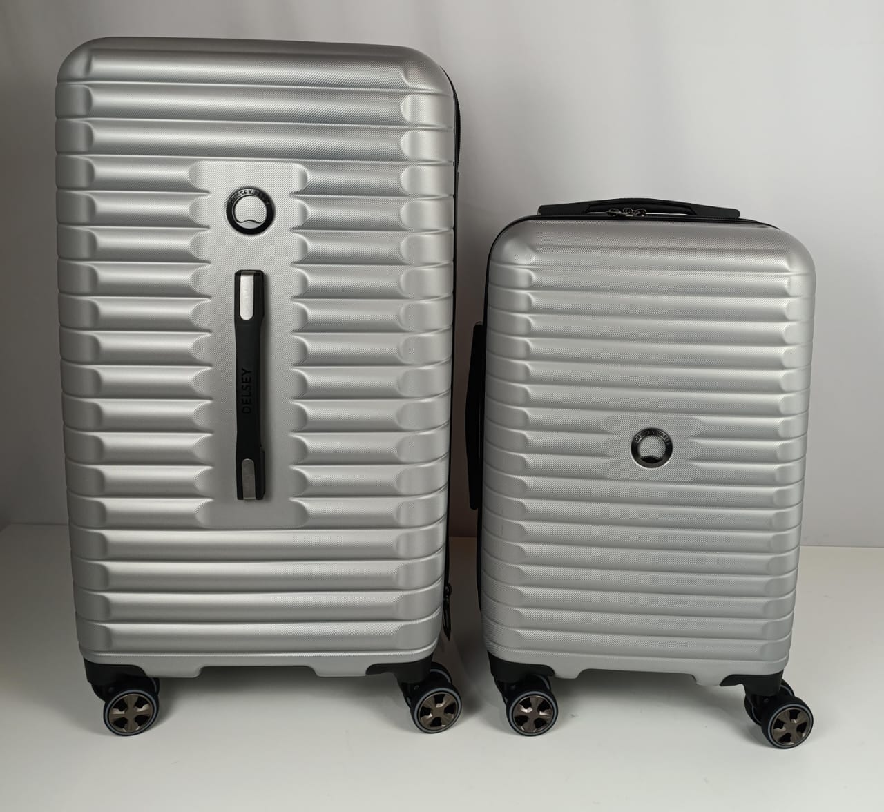 Delsey Paris 2 Piece Hardside Trunk Set 22/27 inch - Silver