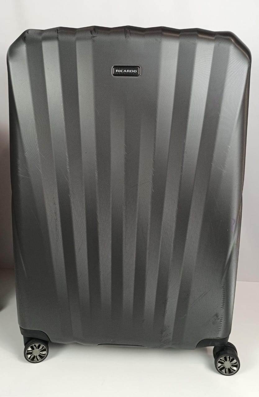 مجموعة حقائب سفر ريكاردو وندسور الصلبة المكونة من قطعتين (22 بوصة - 29 بوصة) (رمادي) LU