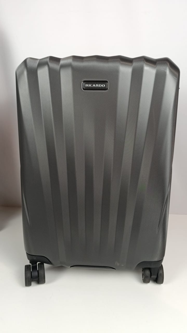 مجموعة حقائب سفر ريكاردو وندسور الصلبة المكونة من قطعتين (22 بوصة - 29 بوصة) (رمادي) LU