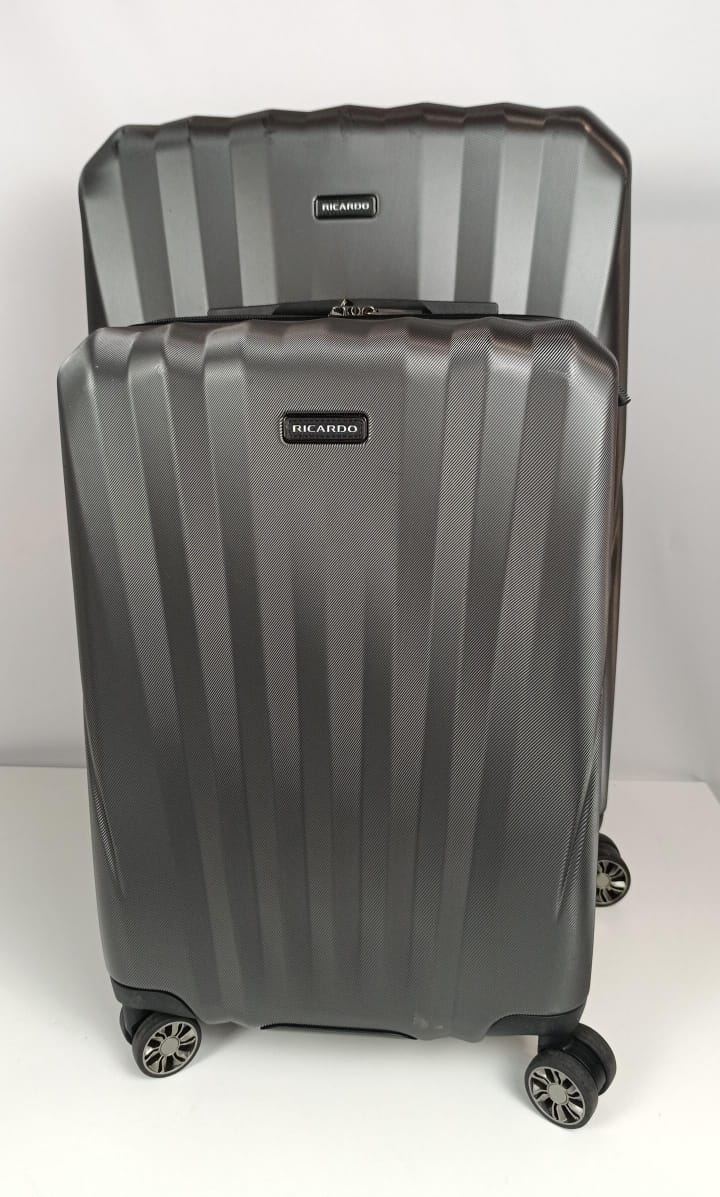 مجموعة حقائب سفر ريكاردو وندسور الصلبة المكونة من قطعتين (22 بوصة - 29 بوصة) (رمادي) LU