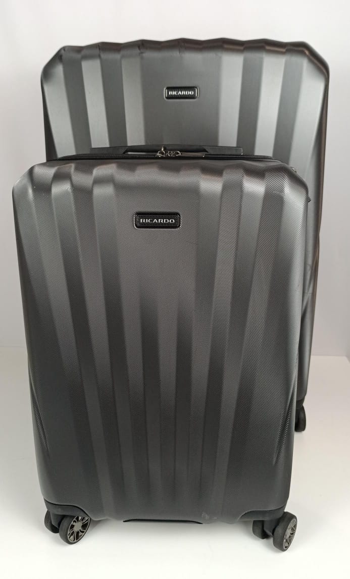 مجموعة حقائب سفر ريكاردو وندسور الصلبة المكونة من قطعتين (22 بوصة - 29 بوصة) (رمادي) LU