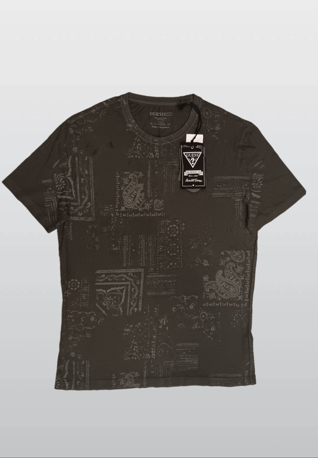 GUESS ECO T-SHIRT GRAY A33