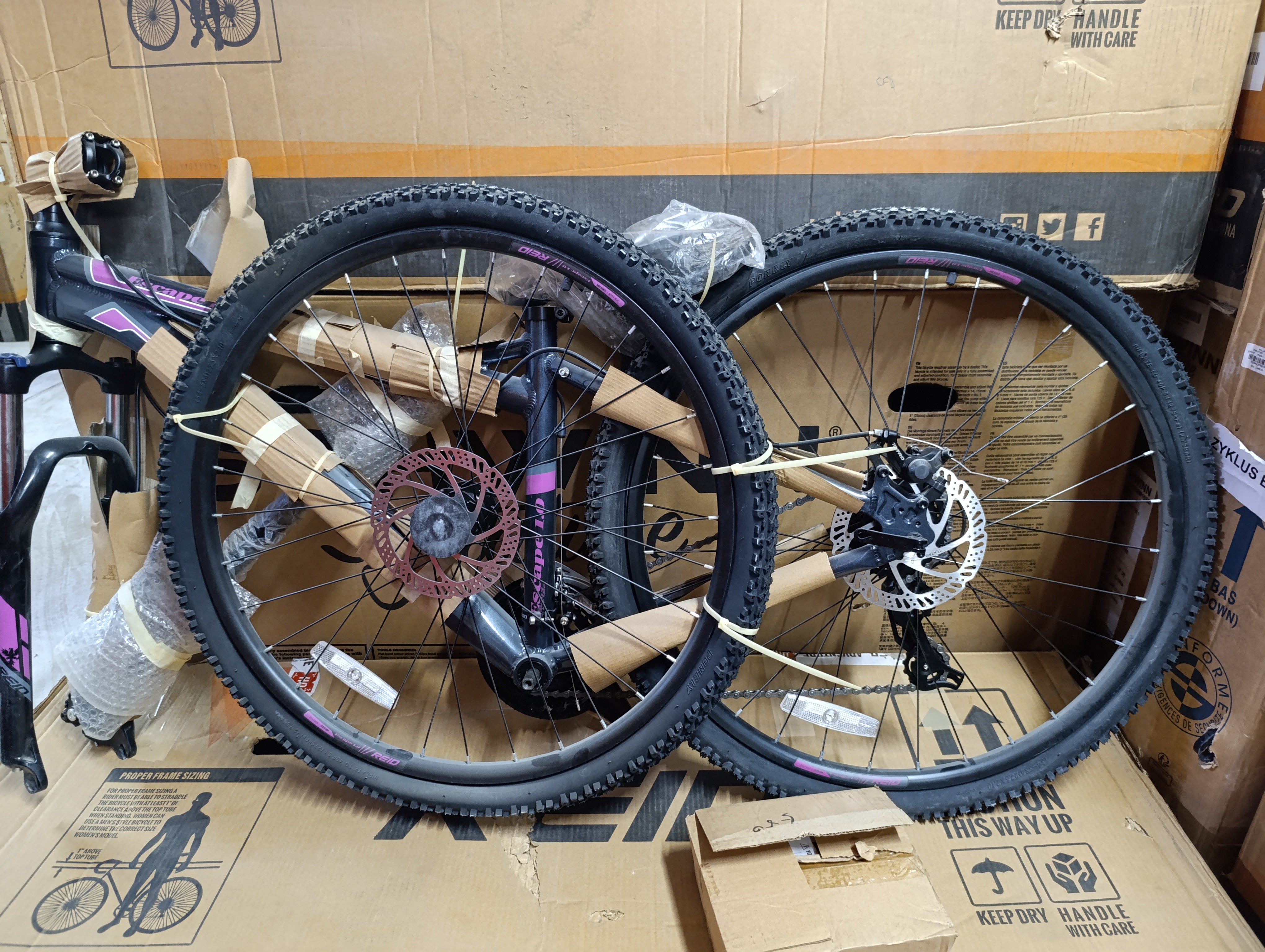 Reid Escape WSD / Grey Purple Size M-- open box