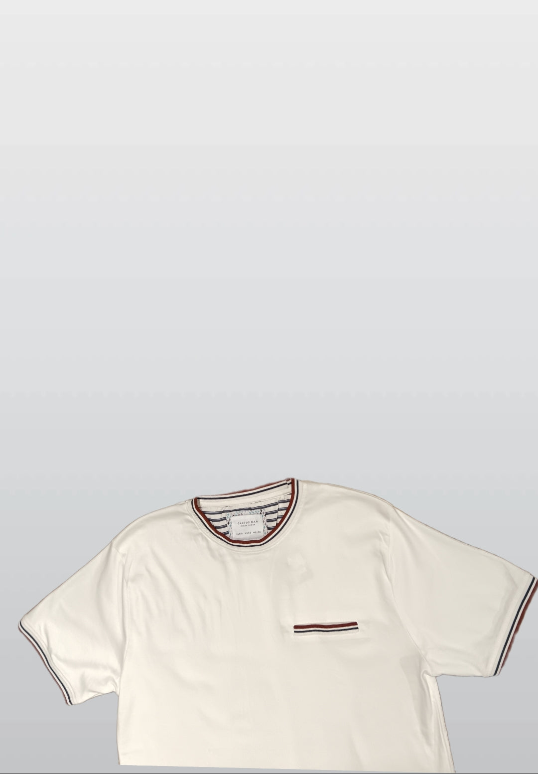 Cactus Man Ricky Singh Round Neck T-Shirt