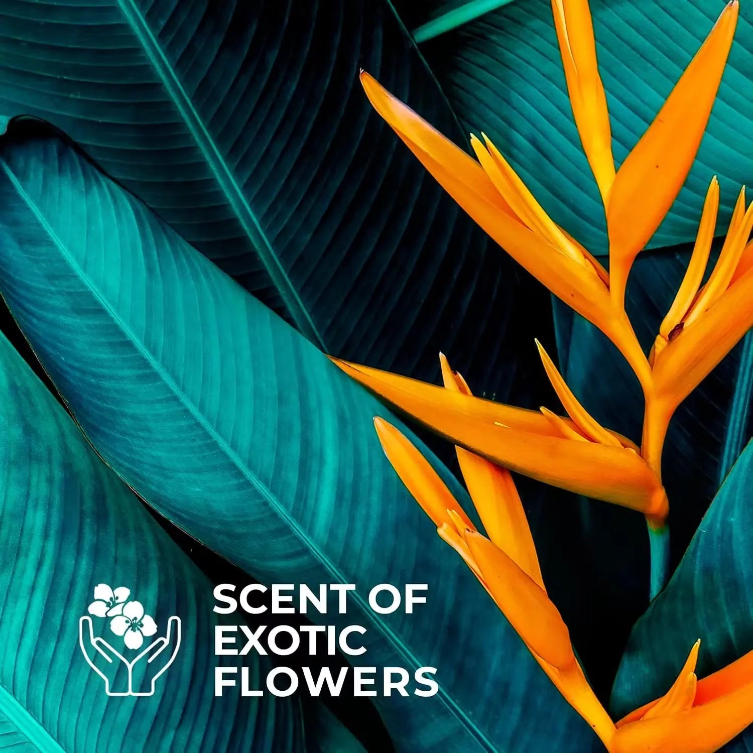 Lux Daily Shower Gel bottle (500ml) featuring vibrant design with freesia flowers and tea tree leaves. Close-up view of gel dispensing onto hand, creating a gentle lather.