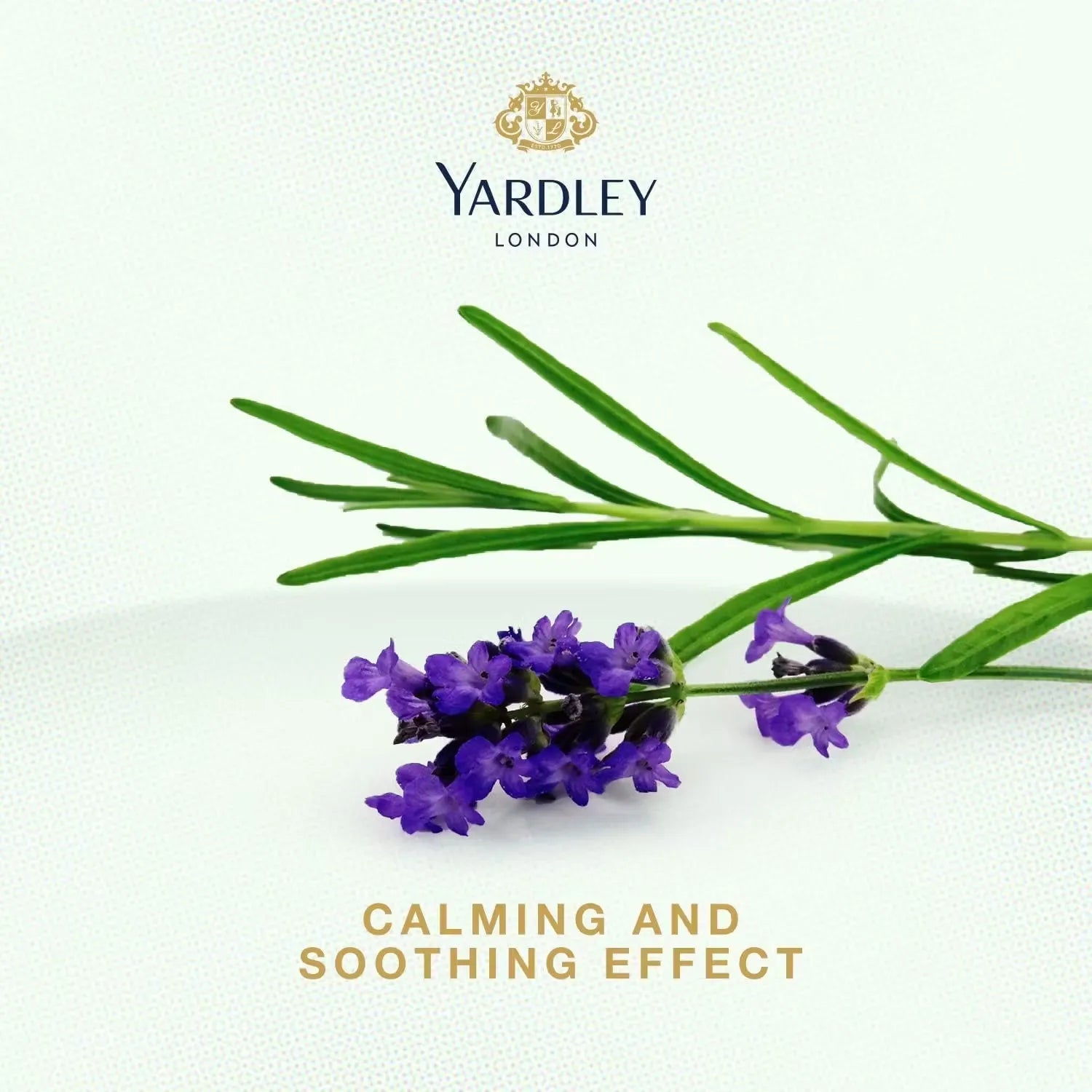 Yardley London Lavender Hair Cream (150g) nourishes and conditions hair, leaving it soft, manageable, and infused with a calming lavender scent. Shop on Dubailisit!
