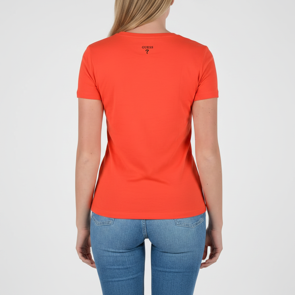 3 – Back, Grey BG