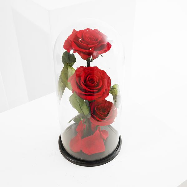 Preserved 3 Stem Red Rose Glass Dome