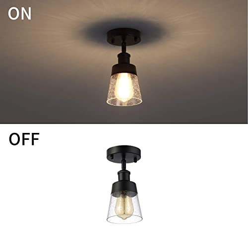 Fivess Lighting Industrial Glass Semi Flush Mount Ceiling Light, Black, 24 x 12 x 12 cm