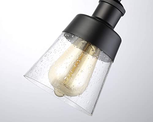Fivess Lighting Industrial Glass Semi Flush Mount Ceiling Light, Black, 24 x 12 x 12 cm