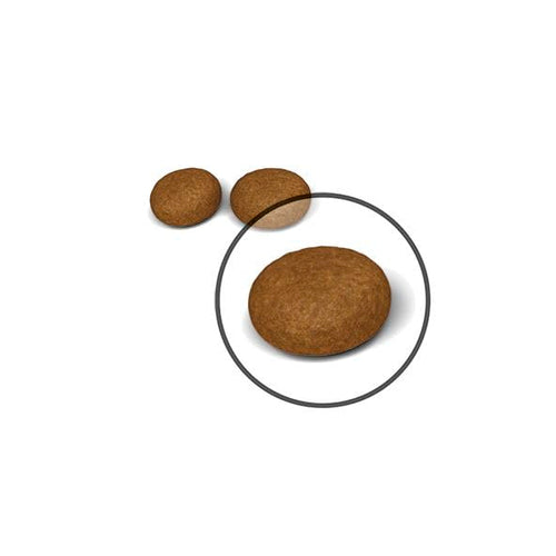 Royal Canin Feline Care Nutrition Hair & Skin Cat Dry Food,4Kg