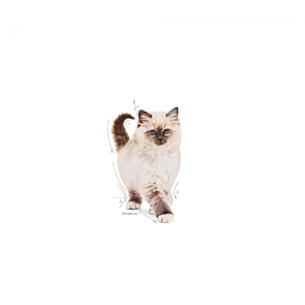 Royal Canin Kitten Dry Cat Food 4kg