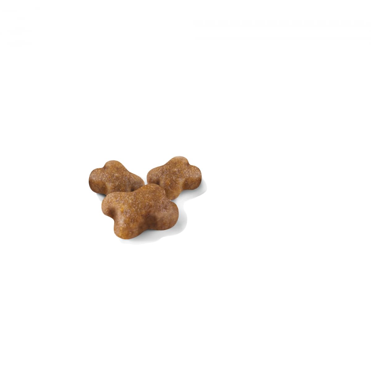 Royal Canin Kitten Dry Cat Food 4kg