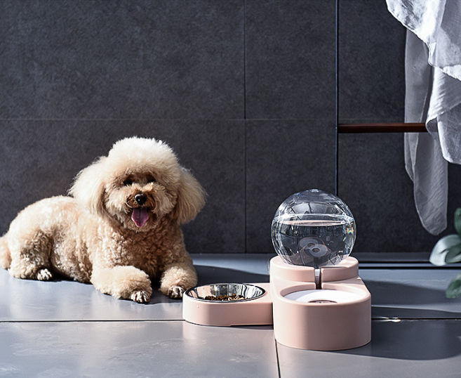 Spherical Double Pet Bowl with Automatic Water Refill (Without a box)