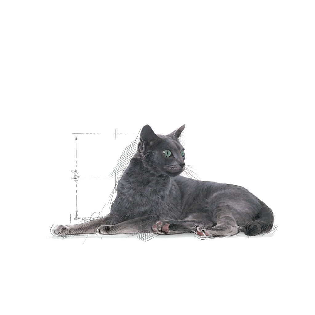 Royal Canin Sterilised 7+ Dry Cat Food 1.5kg