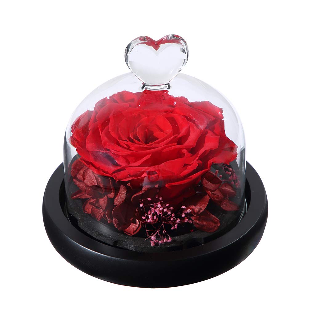 Preserved Rose in Heart Design Glass Dome