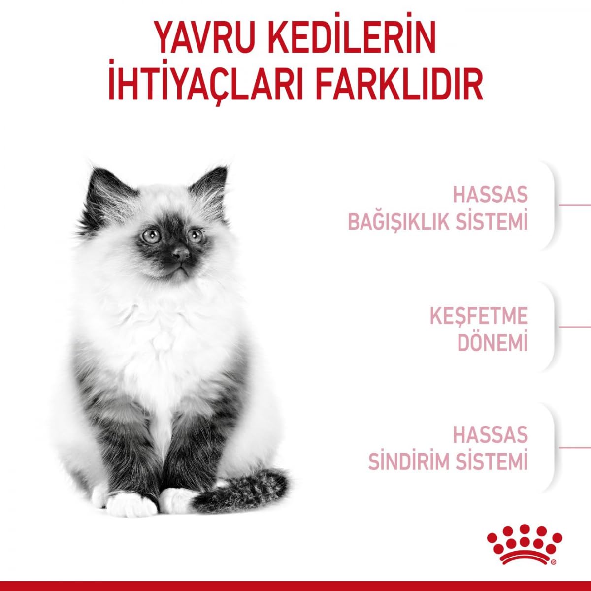 Royal Canin Kitten Dry Cat Food 4kg