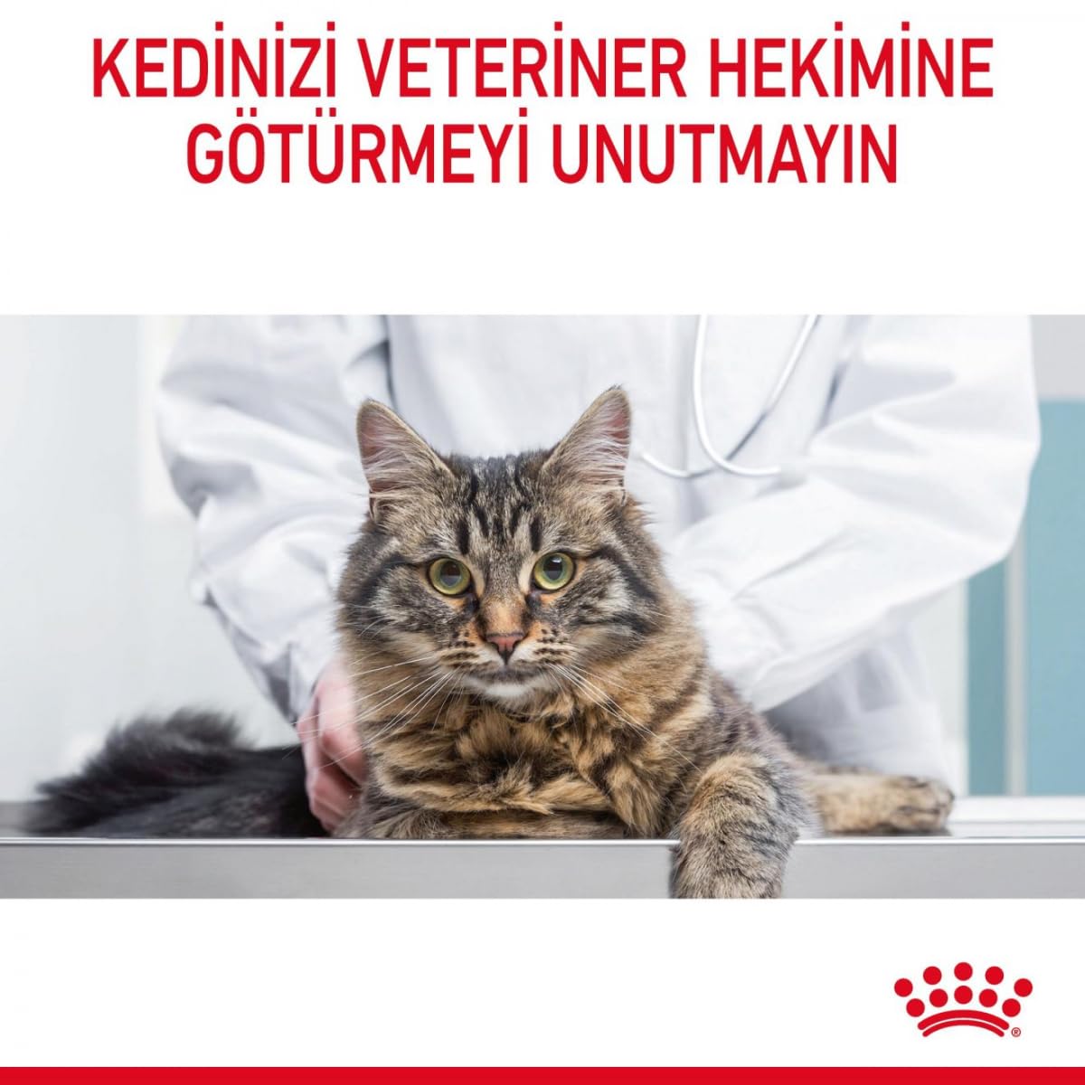 Royal Canin Feline Care Nutrition Hair & Skin Cat Dry Food,4Kg