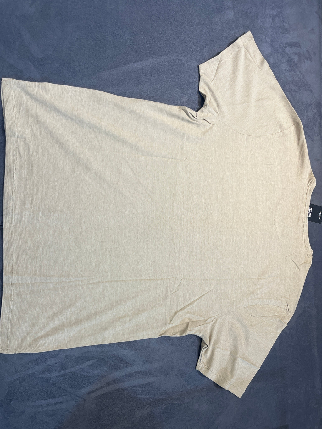 Minimalist Small Logo Crewneck T-Shirt in Heather Beige