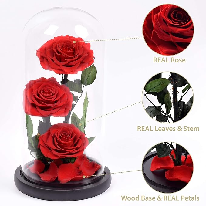 Preserved 3 Stem Red Rose Glass Dome