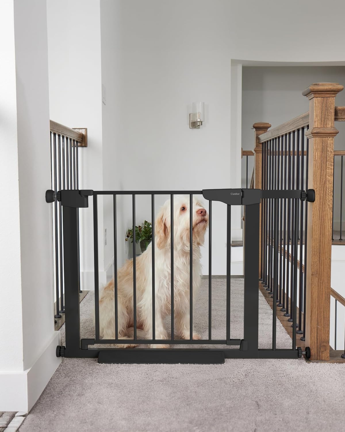 Cumbor Baby Gate for Stairs, Mom's Choice Awards Winner,Black