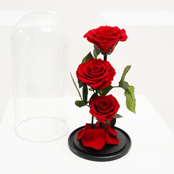 Preserved 3 Stem Red Rose Glass Dome