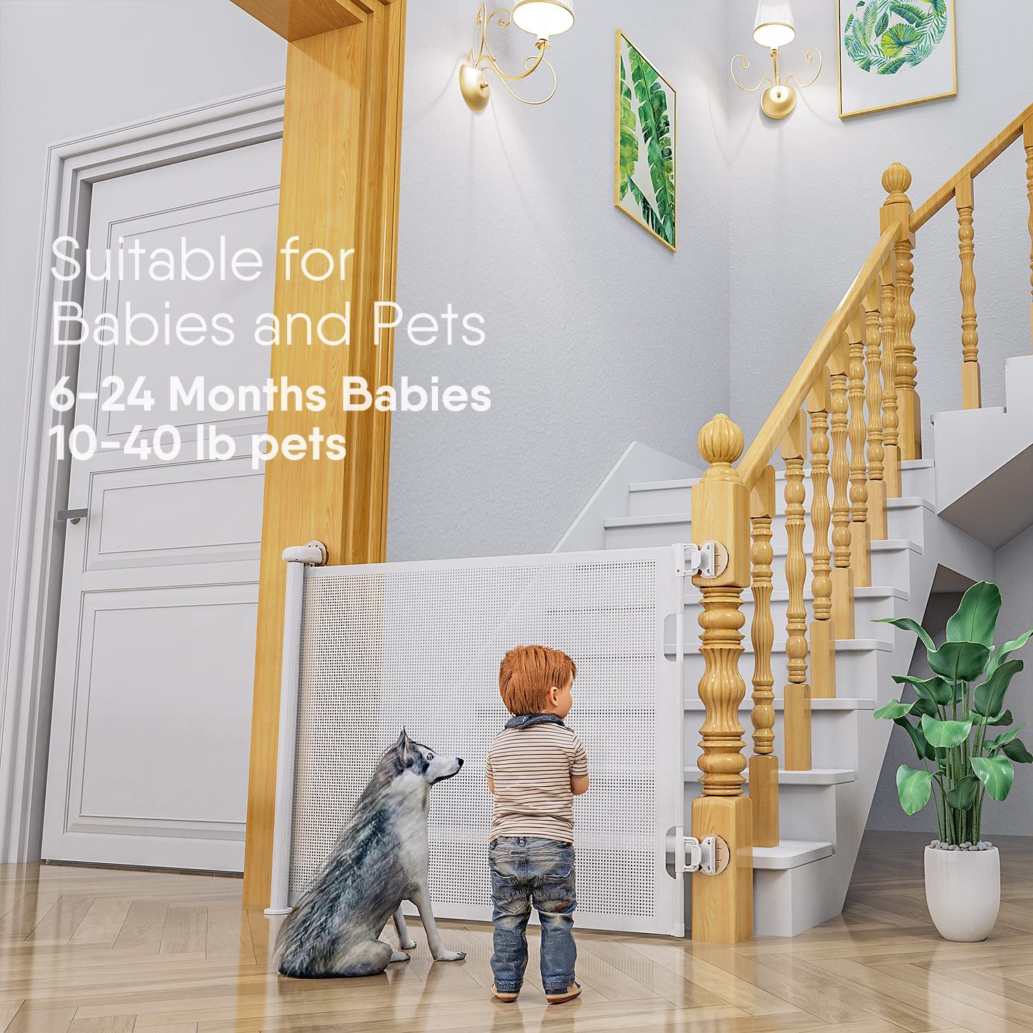 Beauenty Retractable Baby Gate, Baby Gate for Smooth Wall No Drilling, Adjustable Width and Height, Pet Gate for Doorway, Staircase, Indoor, Outdoor (White 150CM x 88CM)