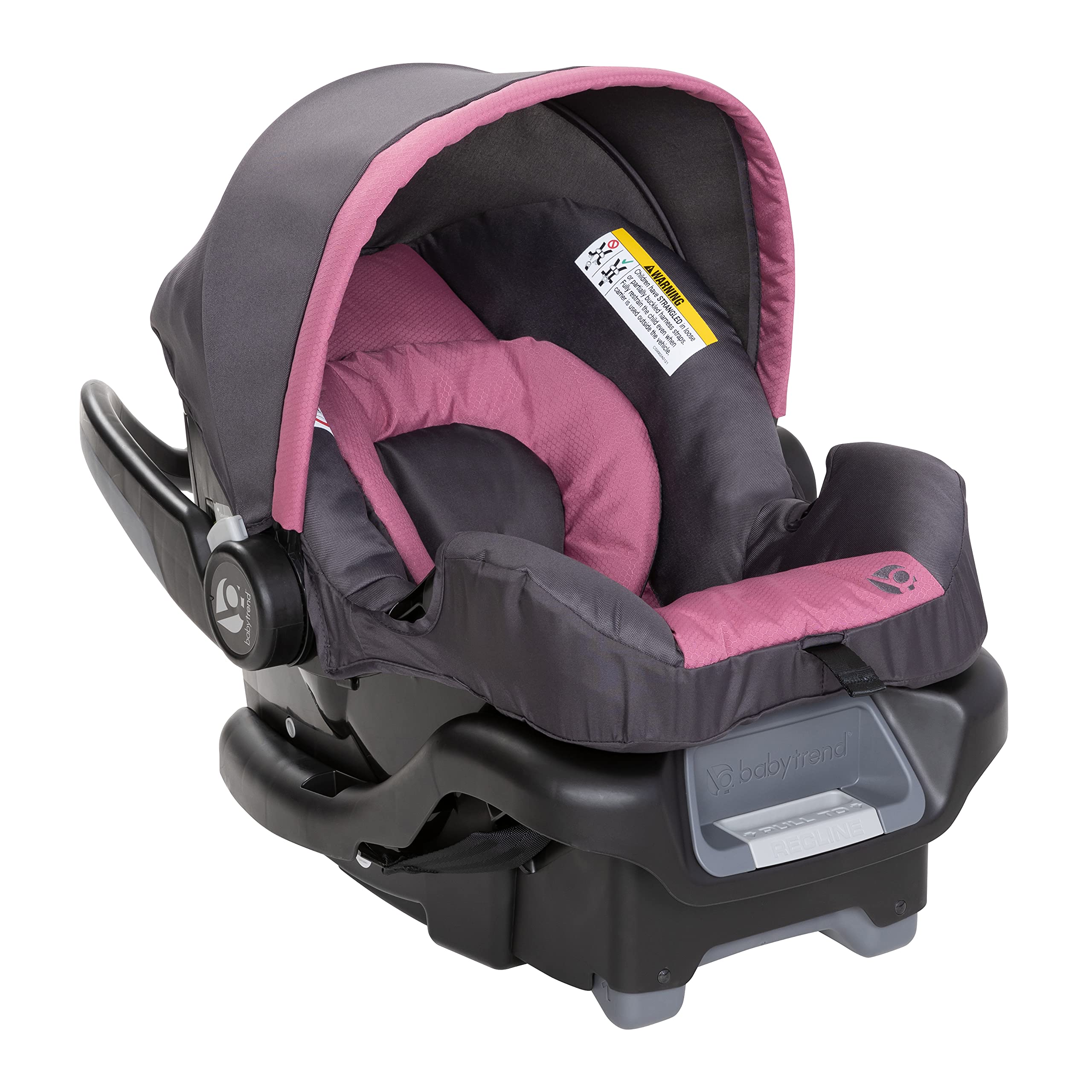 Baby Trend Expedition Race Tec Jogger Travel System with Ally Infant Car Seat, Ultra Cassis