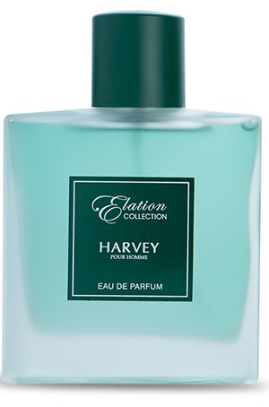 Elation Harvey EDP 100 ml by Orchid Perfumes