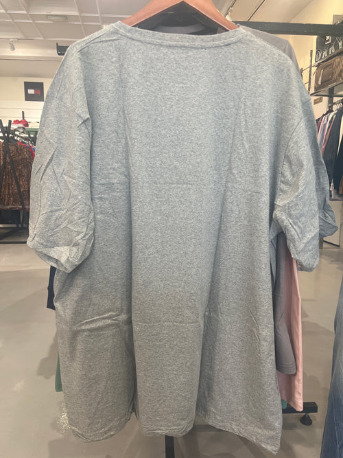 BS Style Men's Grey "AIR TINDI" Graphic Printed T-Shirt
