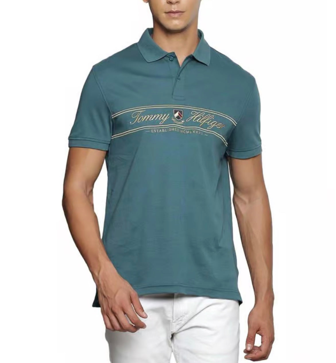 Tommy Hilfiger men t-shirt f23hmkt069