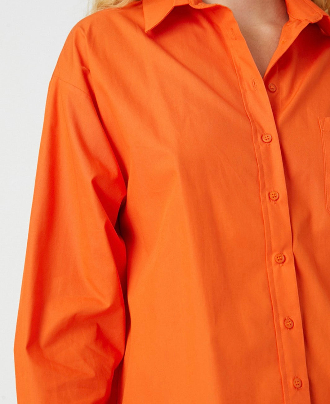 Bebe plus shirt