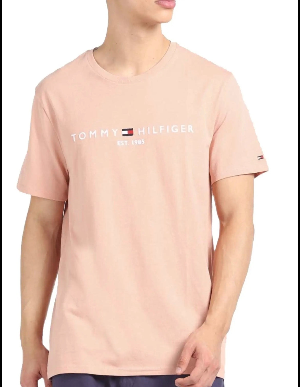 Tommy Hilfiger men t-shirt s23hmkt845