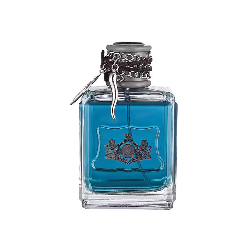 LULANZI BAD BOY PERFUME 100 ML