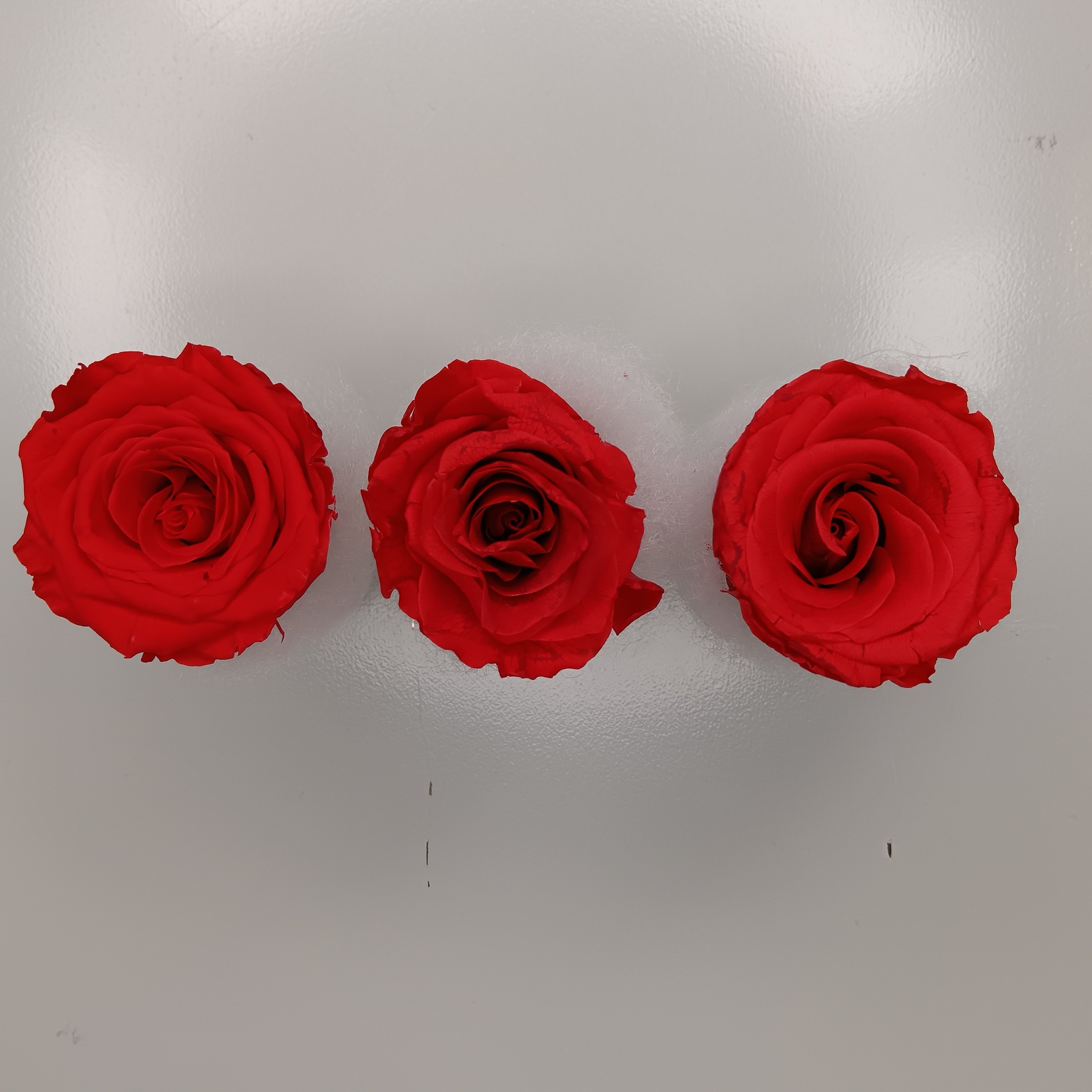 3-Piece Preserved Red Rose Set - Perfect Gift for Loved Ones