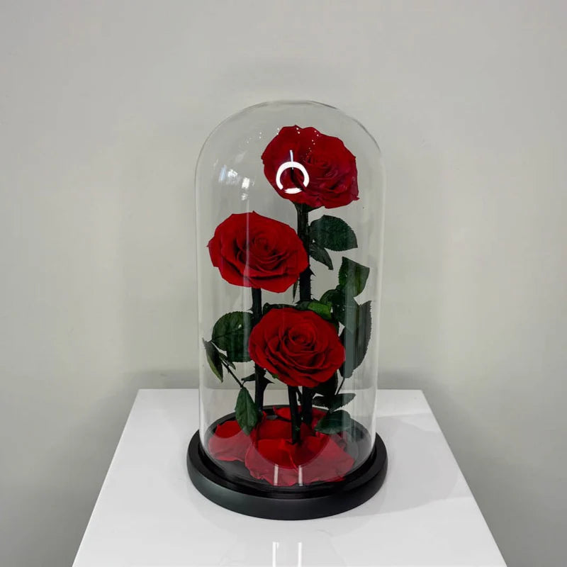 Preserved 3 Stem Red Rose Glass Dome