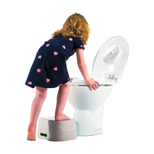 Diaper Champ Potty Champn Silver