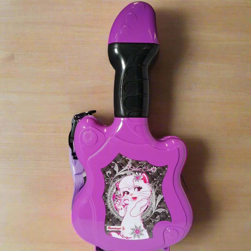 Flamingo Guitar Design LunchBox Purple