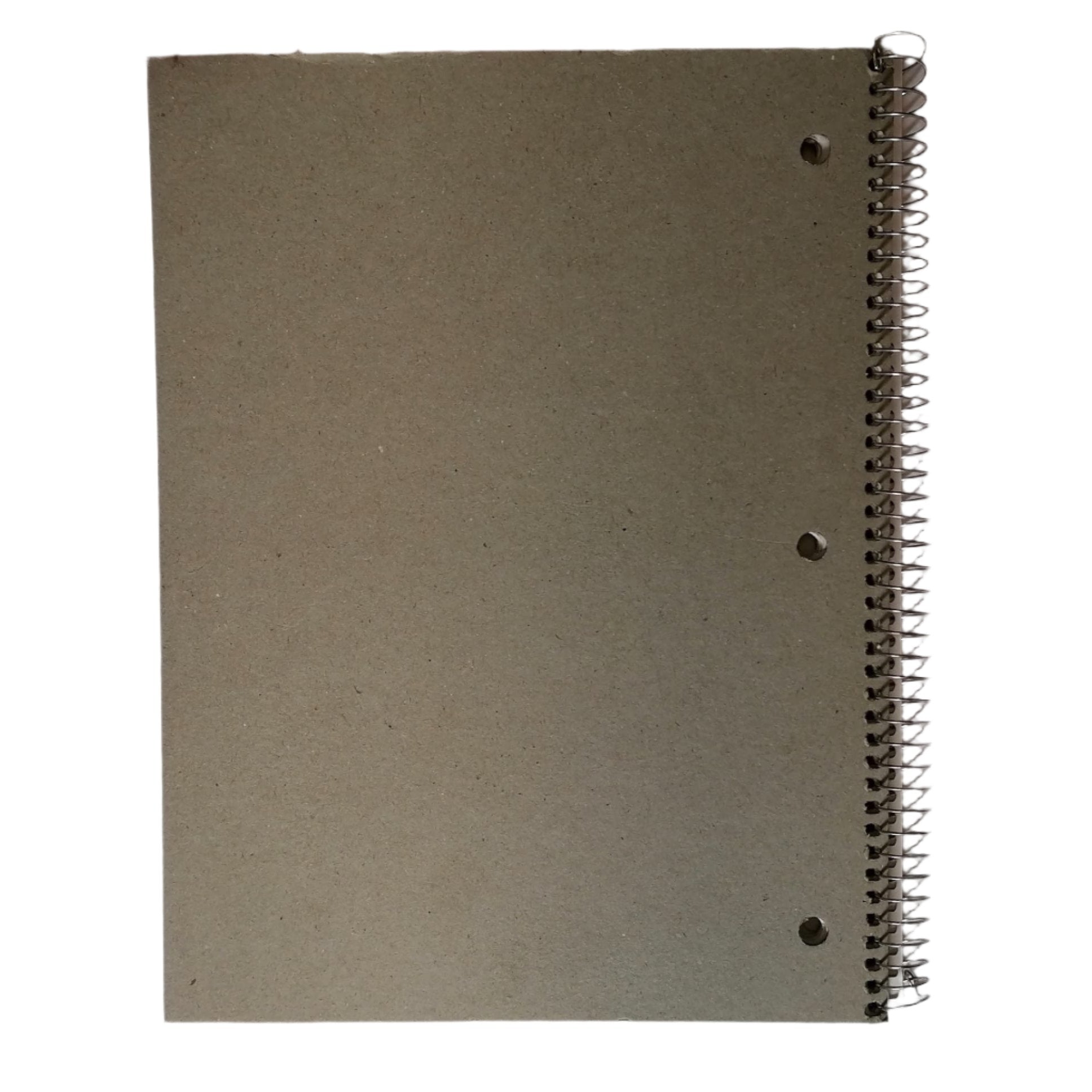 Enlivo 3 Subject Notebook Wide Ruled 120 Sheets 10.5x8in