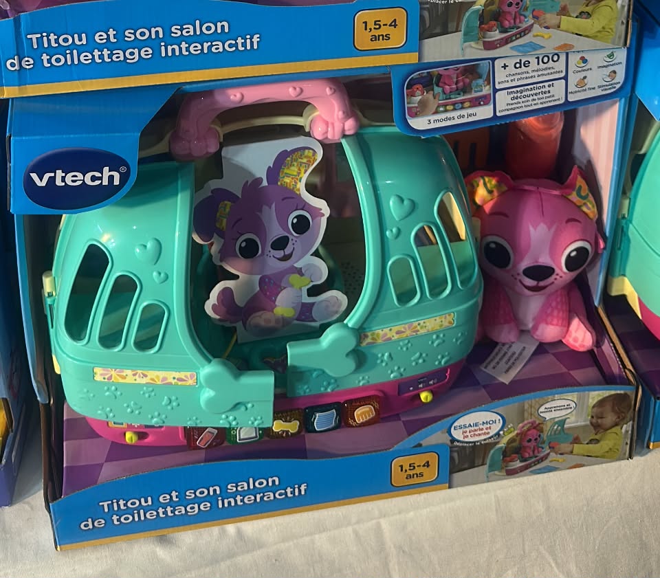 Vtech Play and Go Puppy Salon