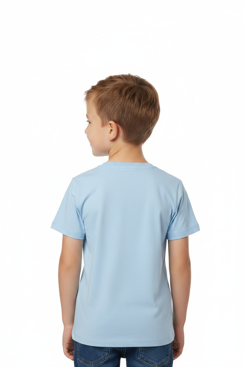 Back Plain View
