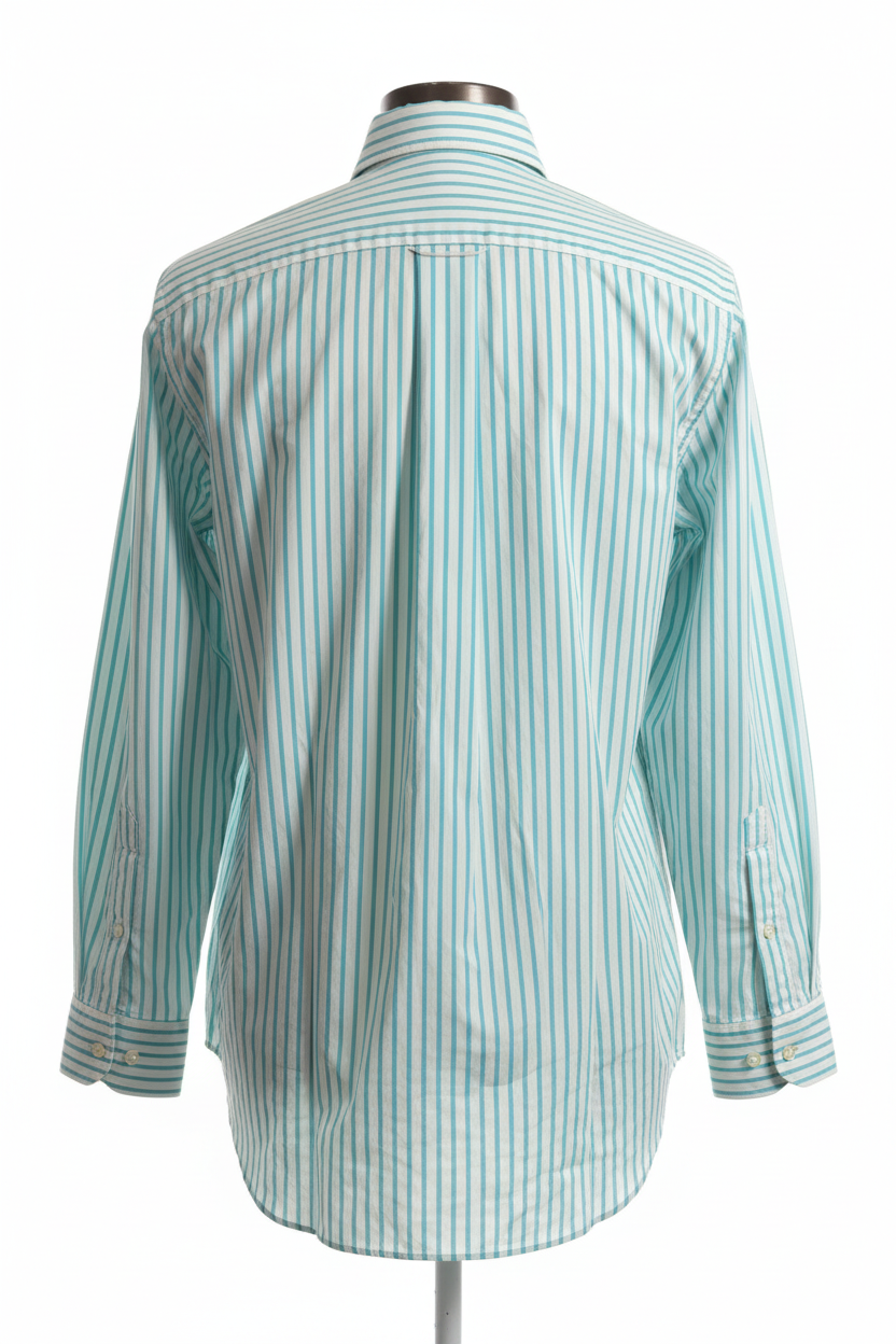 Back View - Teal Striped Shirt