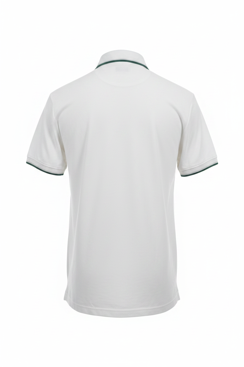 Back View
